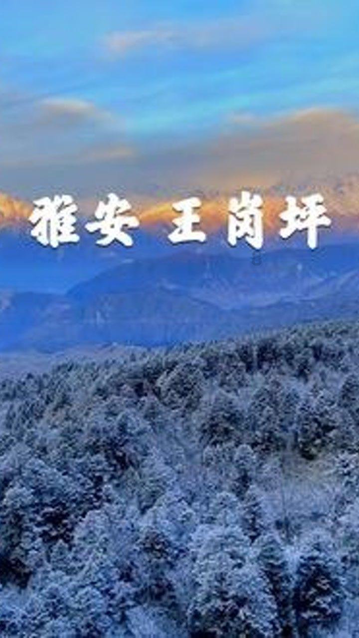 《大江大河3》杨逦的三次不服
